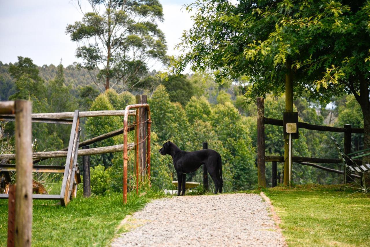 Villa The Knoll Historic Guest Farm Hilton Exterior foto