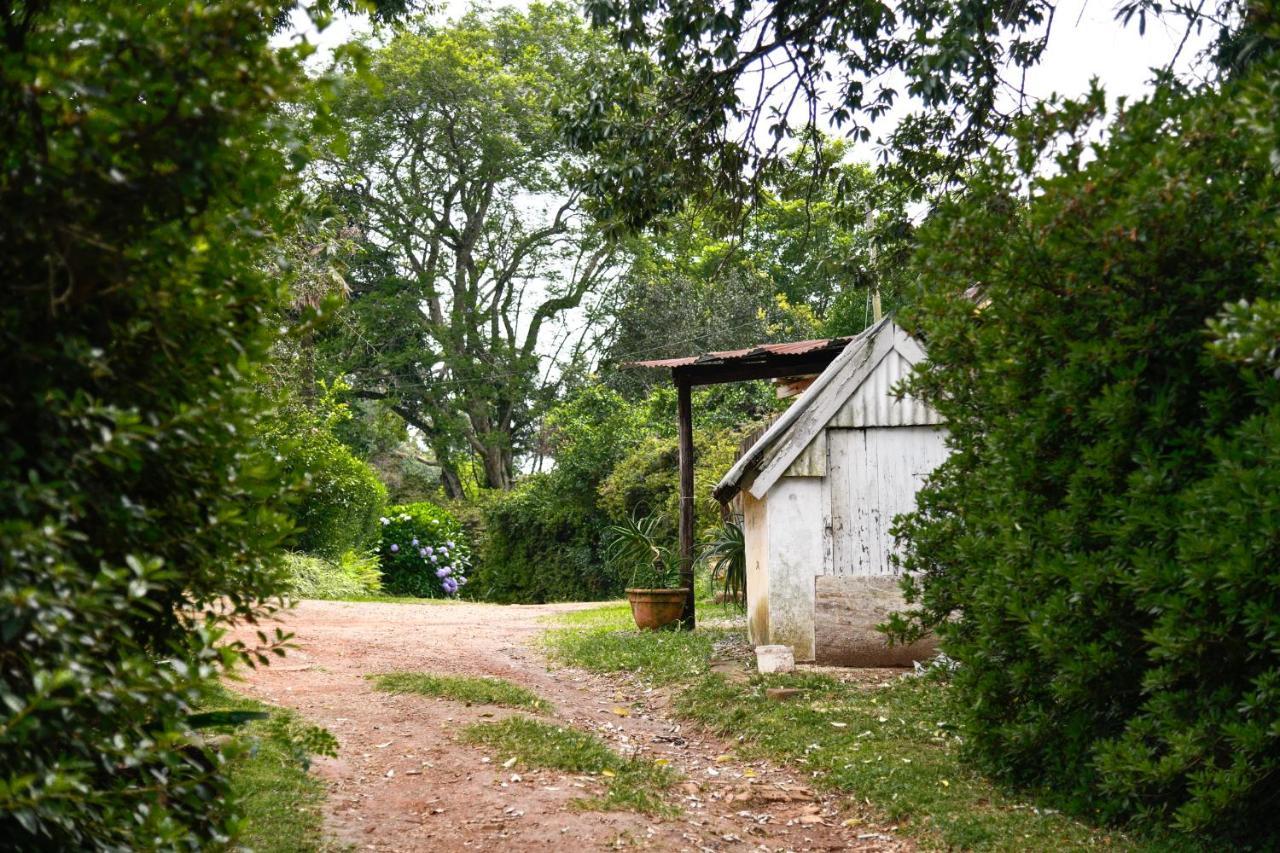 Villa The Knoll Historic Guest Farm Hilton Exterior foto